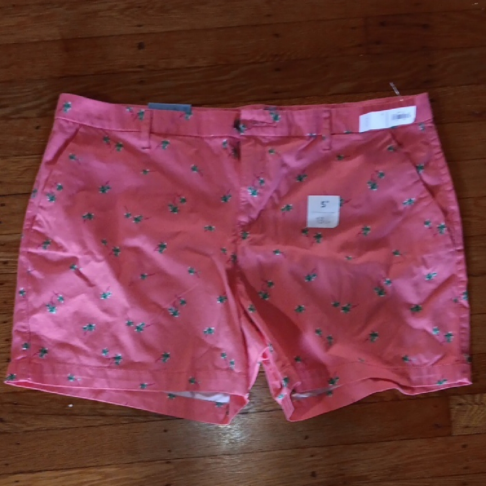 Coral Pink Floral Embroidered Shorts